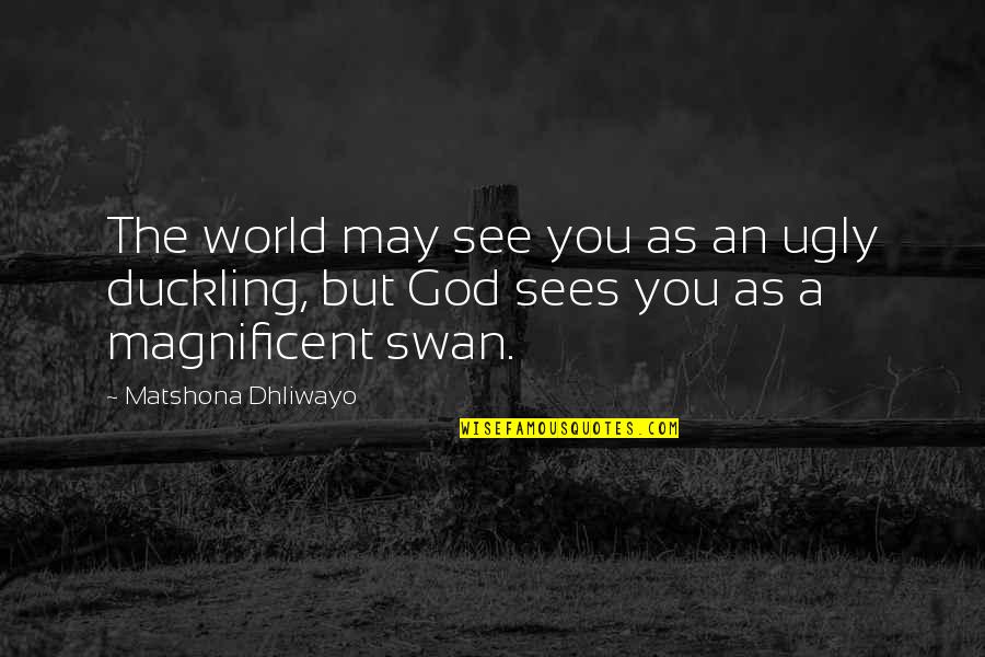 Ugly Duckling Swan Quotes By Matshona Dhliwayo: The world may see you as an ugly