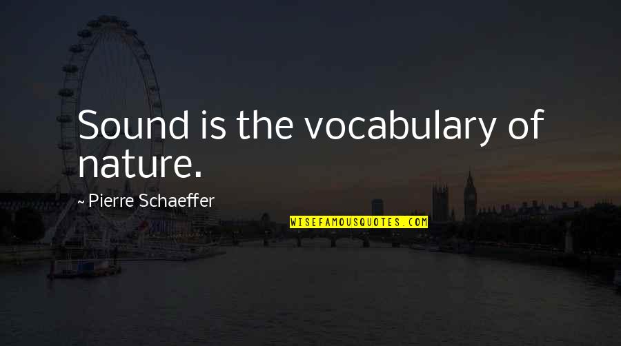 Ugly Guy Quotes By Pierre Schaeffer: Sound is the vocabulary of nature.