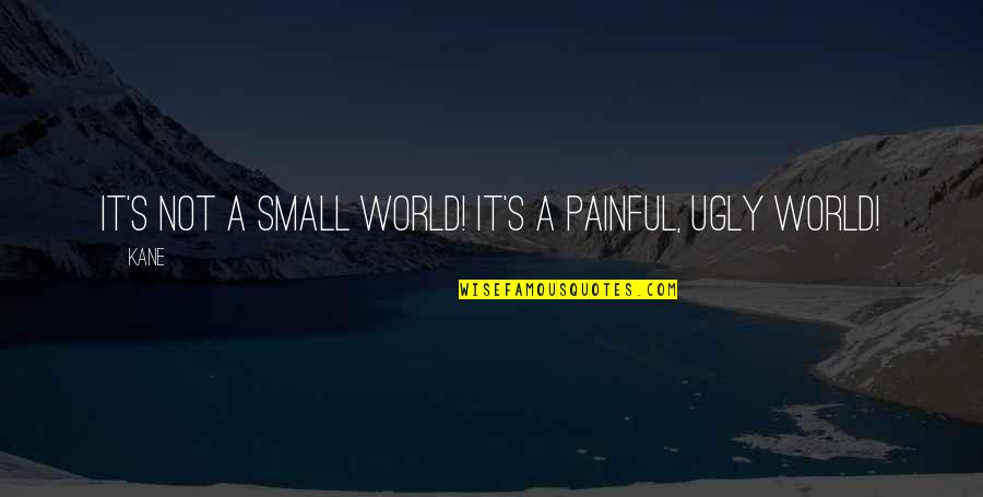Ugly World Quotes By Kane: It's not a small world! It's a painful,