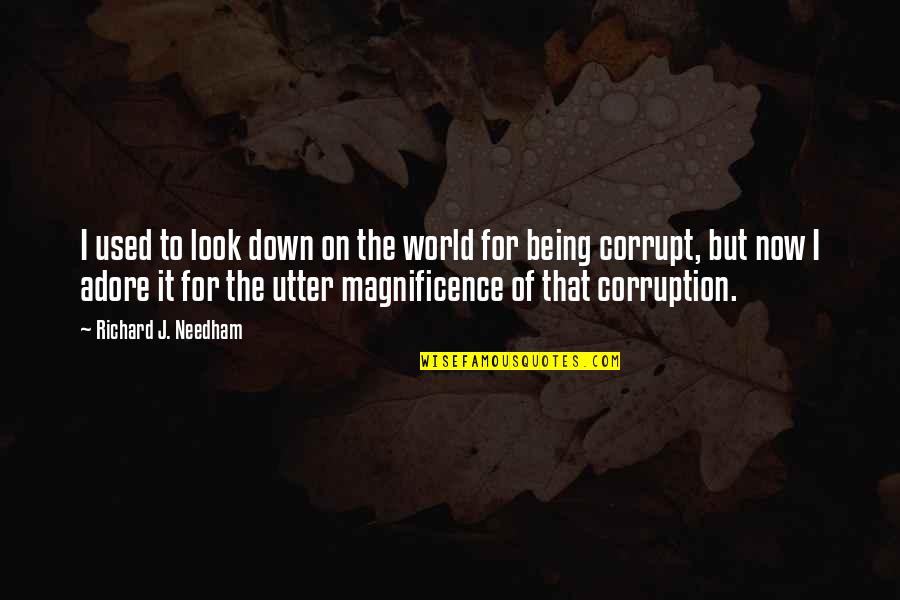 Uitdagings Quotes By Richard J. Needham: I used to look down on the world Uitdagings Quotes By Richard J. Needham: I used to look down on the world