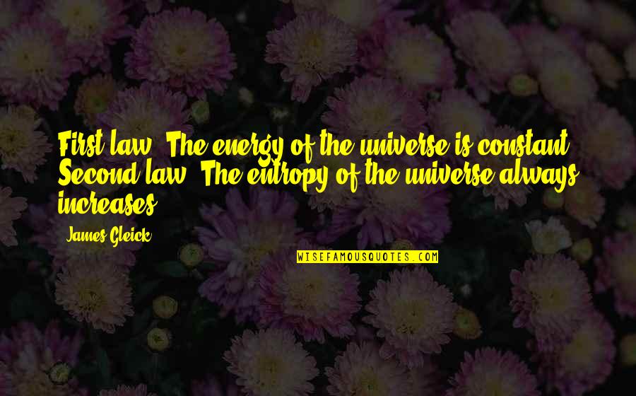 Uitwerkingen Quotes By James Gleick: First law: The energy of the universe is Uitwerkingen Quotes By James Gleick: First law: The energy of the universe is