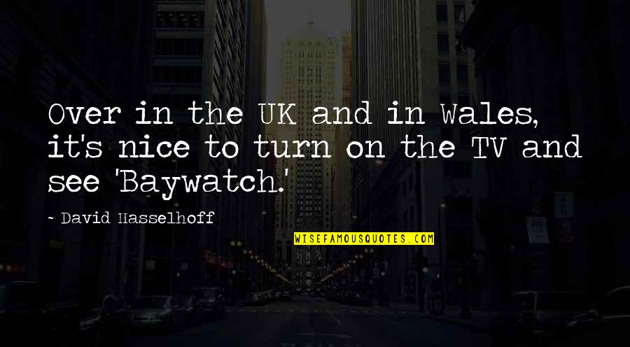 Uk Tv Quotes By David Hasselhoff: Over in the UK and in Wales, it's