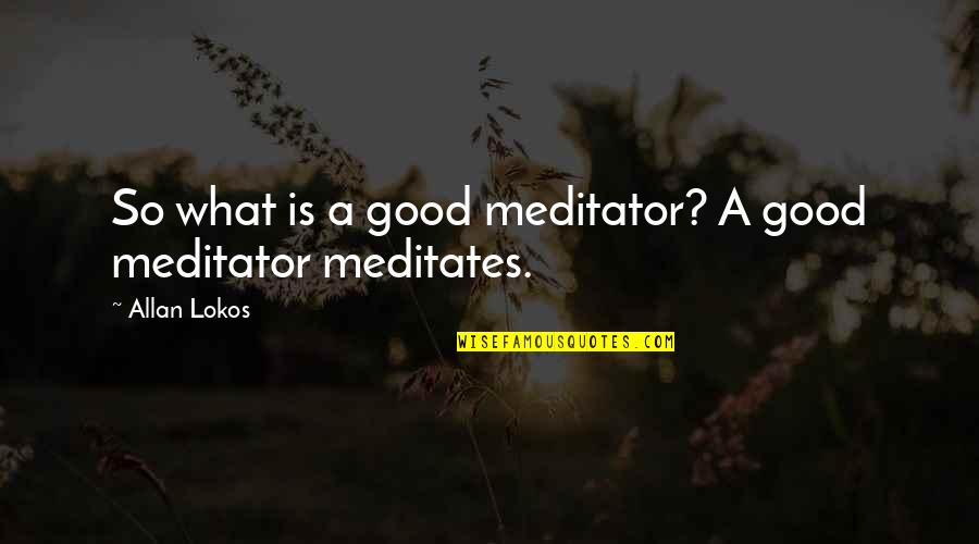 Ukiekooki Quotes By Allan Lokos: So what is a good meditator? A good