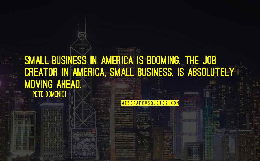 Ulanda Clothing Quotes By Pete Domenici: Small business in America is booming. The job