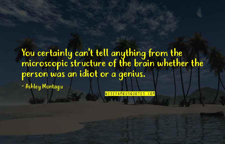 Ulape Quotes By Ashley Montagu: You certainly can't tell anything from the microscopic Ulape Quotes By Ashley Montagu: You certainly can't tell anything from the microscopic