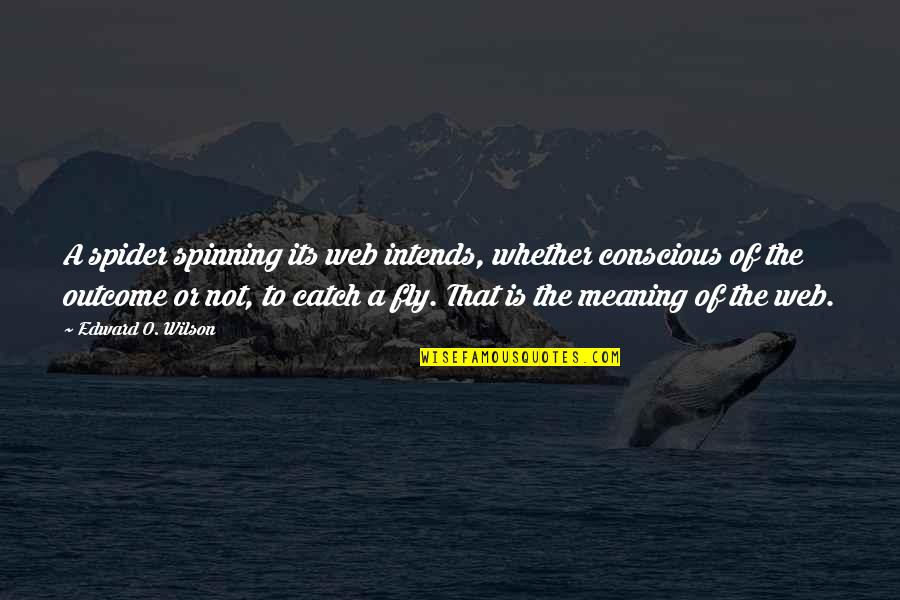 Uli Hoeness Quotes By Edward O. Wilson: A spider spinning its web intends, whether conscious