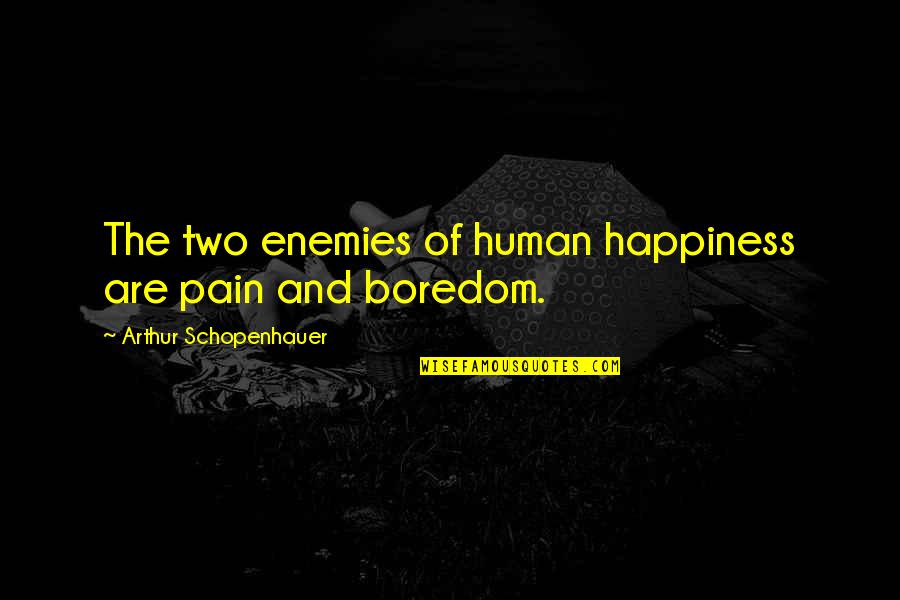 Ullerslev Quotes By Arthur Schopenhauer: The two enemies of human happiness are pain