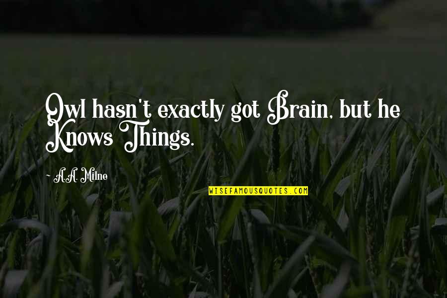 Ulrichsen Amarel Quotes By A.A. Milne: Owl hasn't exactly got Brain, but he Knows Ulrichsen Amarel Quotes By A.A. Milne: Owl hasn't exactly got Brain, but he Knows