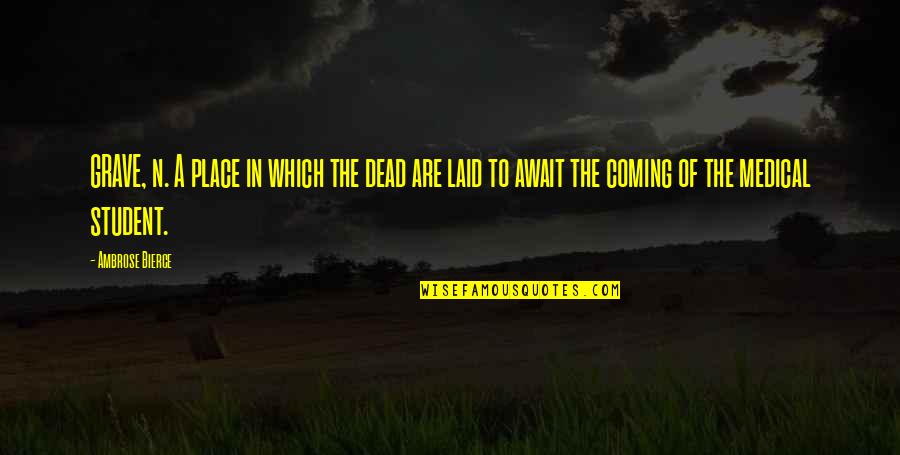 Ulrike Ottinger Quotes By Ambrose Bierce: GRAVE, n. A place in which the dead