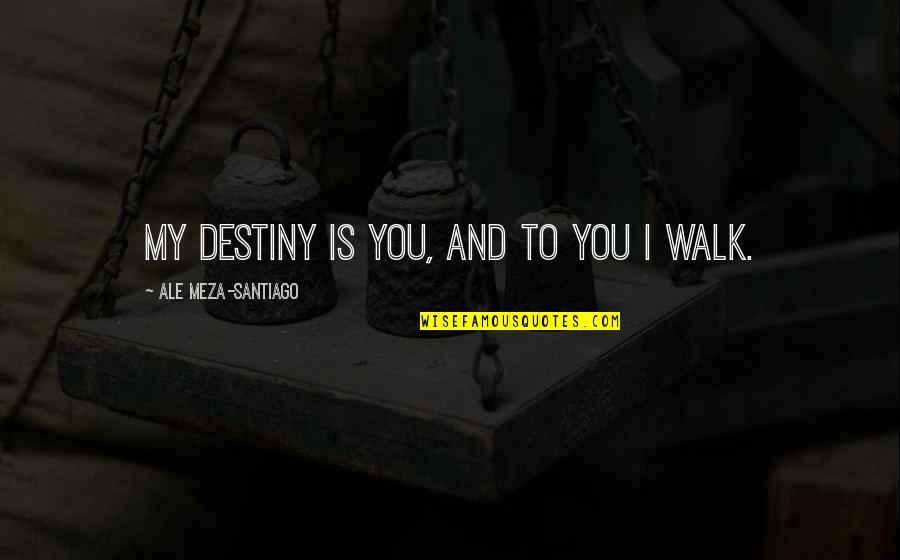 Ultimate Goal Of Life Quotes By Ale Meza-Santiago: My destiny is you, and to you I