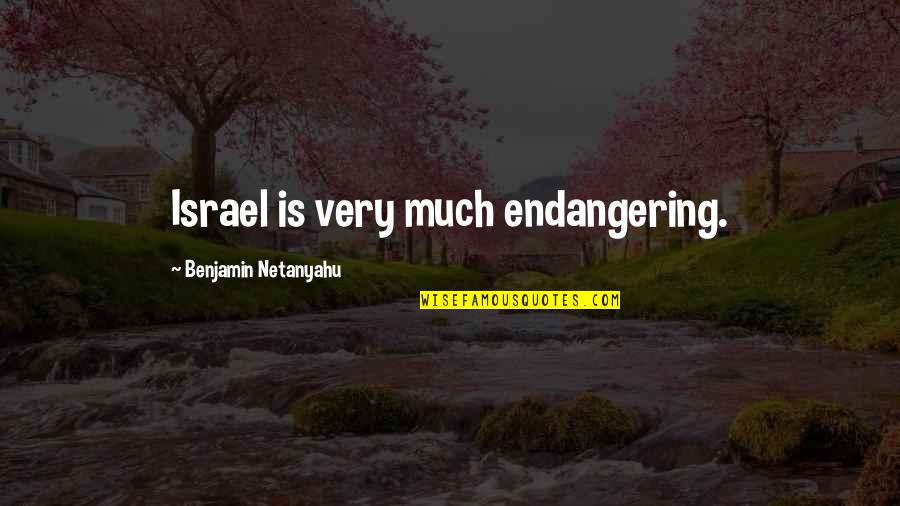 Ultimate Romantic Quotes By Benjamin Netanyahu: Israel is very much endangering.