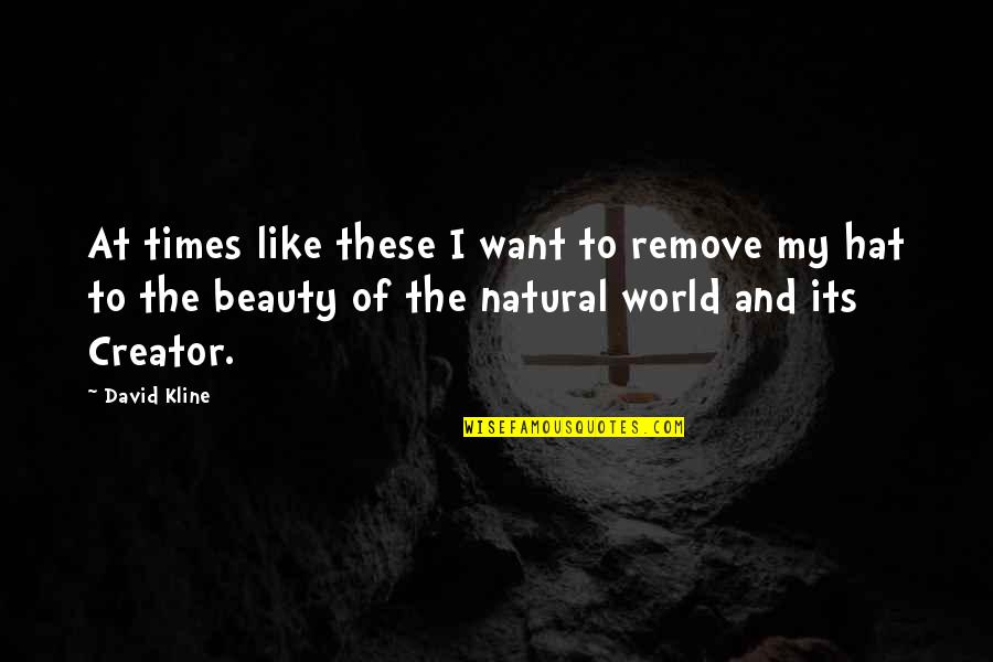 Ultraviolence Tracklist Quotes By David Kline: At times like these I want to remove Ultraviolence Tracklist Quotes By David Kline: At times like these I want to remove