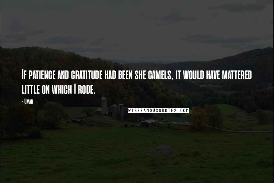 Umar quotes: If patience and gratitude had been she camels, it would have mattered little on which I rode.