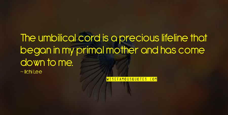 Umbilical Quotes By Ilchi Lee: The umbilical cord is a precious lifeline that