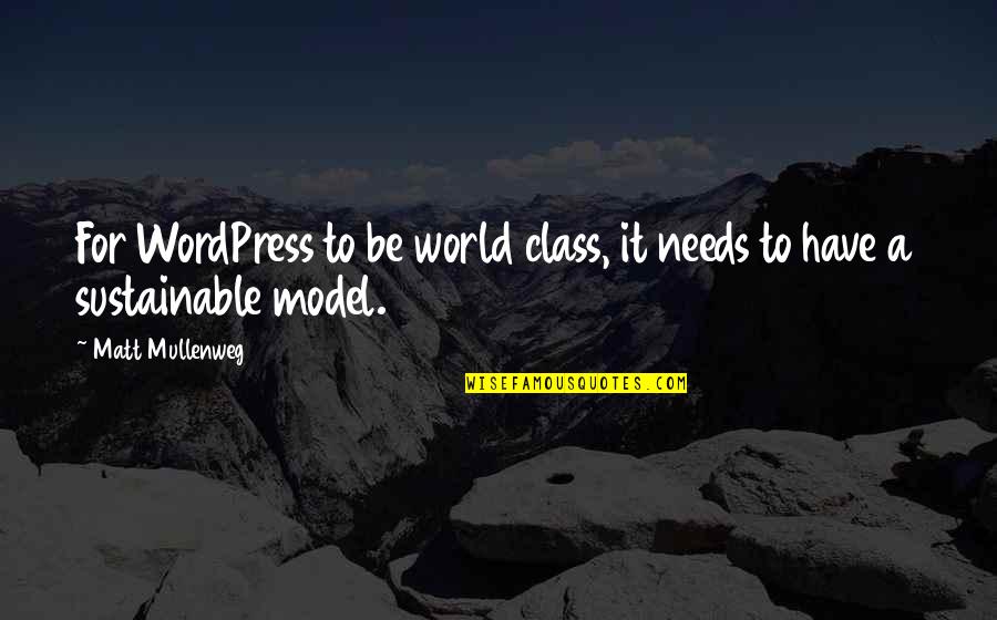 Umerley Quotes By Matt Mullenweg: For WordPress to be world class, it needs