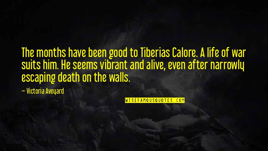 Umezawa Minami Quotes By Victoria Aveyard: The months have been good to Tiberias Calore. Umezawa Minami Quotes By Victoria Aveyard: The months have been good to Tiberias Calore.