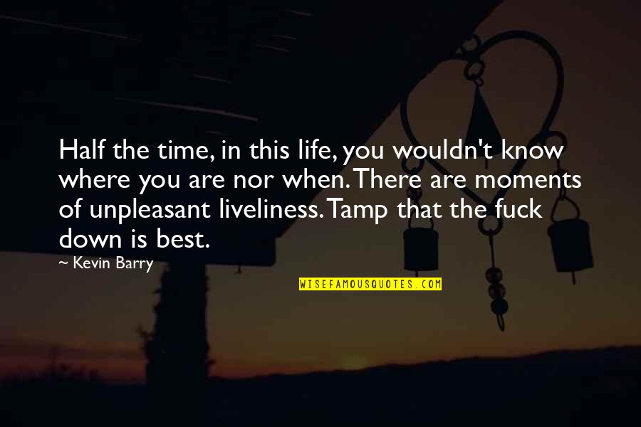 Umile Encoder Quotes By Kevin Barry: Half the time, in this life, you wouldn't Umile Encoder Quotes By Kevin Barry: Half the time, in this life, you wouldn't