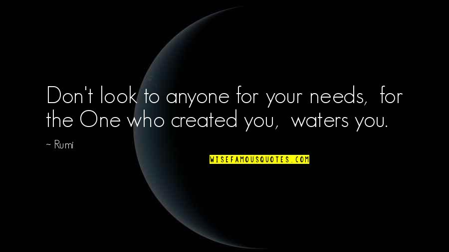 Umilkuvanje Quotes By Rumi: Don't look to anyone for your needs, for