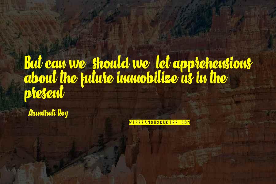 Umivanje Ociju Quotes By Arundhati Roy: But can we, should we, let apprehensions about
