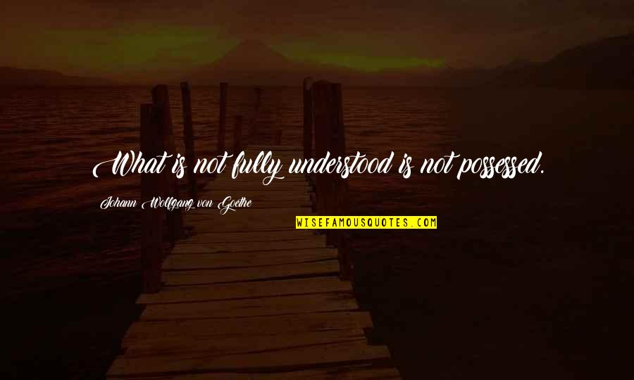 Umvc3 X Factor Quotes By Johann Wolfgang Von Goethe: What is not fully understood is not possessed.