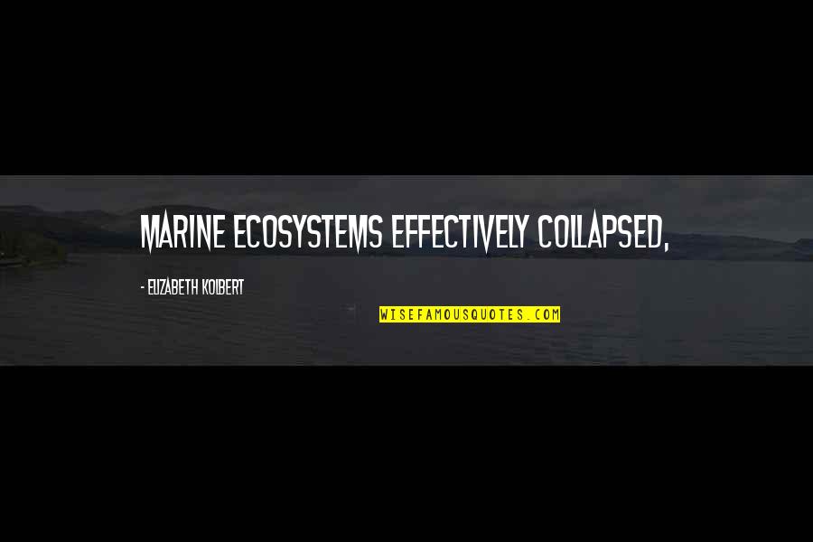 Un Altra Vita Quotes By Elizabeth Kolbert: Marine ecosystems effectively collapsed, Un Altra Vita Quotes By Elizabeth Kolbert: Marine ecosystems effectively collapsed,