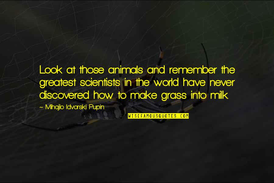 Un Ete Brulant Quotes By Mihajlo Idvorski Pupin: Look at those animals and remember the greatest