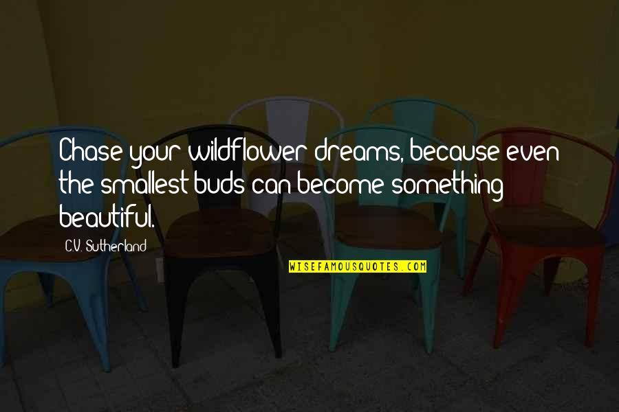Un Hombre Alfa Quotes By C.V. Sutherland: Chase your wildflower dreams, because even the smallest Un Hombre Alfa Quotes By C.V. Sutherland: Chase your wildflower dreams, because even the smallest