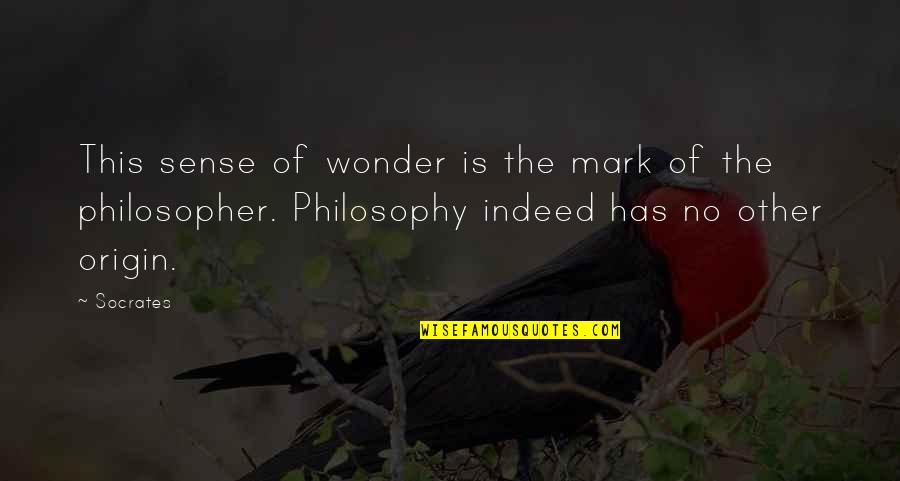 Un Nuevo Comienzo Quotes By Socrates: This sense of wonder is the mark of