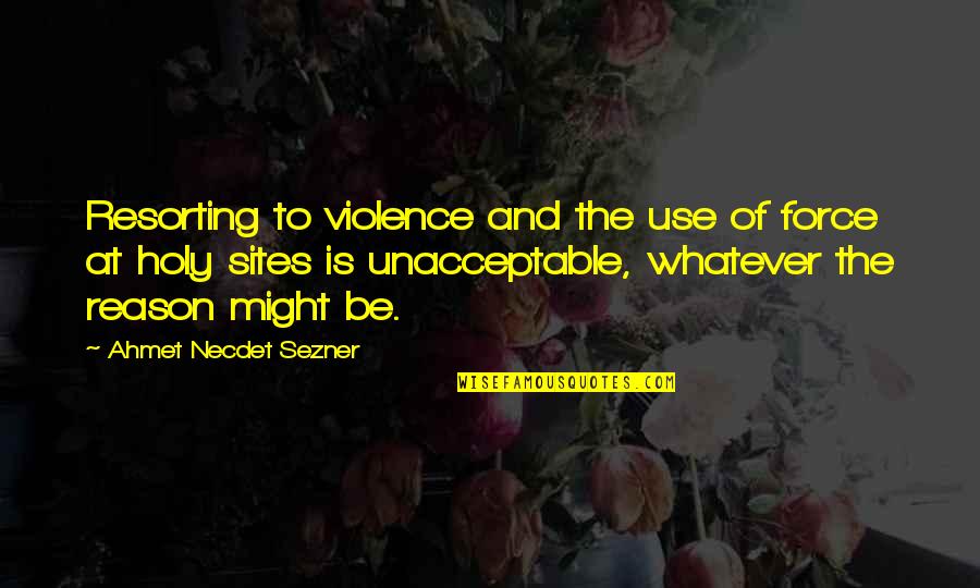 Unacceptable Quotes By Ahmet Necdet Sezner: Resorting to violence and the use of force