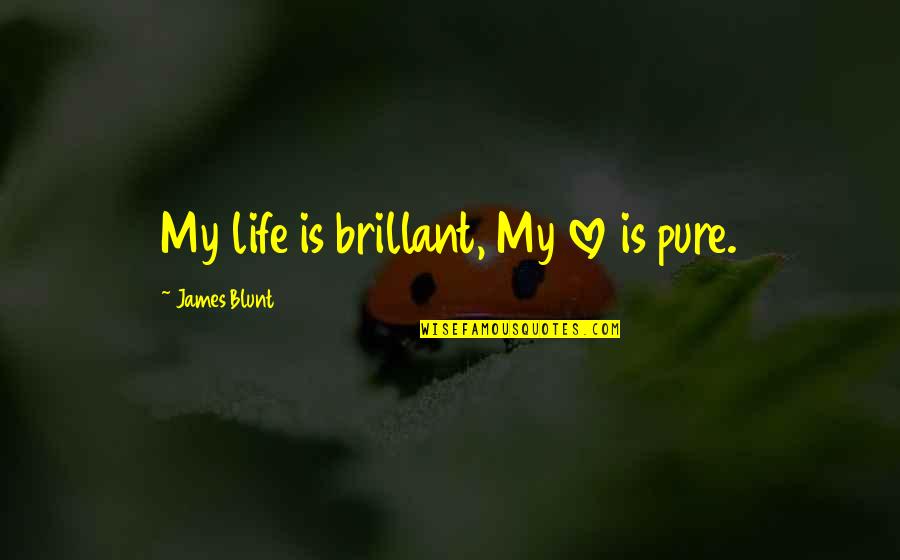 Unaccepted Love Quotes By James Blunt: My life is brillant, My love is pure.