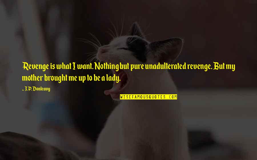 Unadulterated Quotes By J.P. Donleavy: Revenge is what I want. Nothing but pure