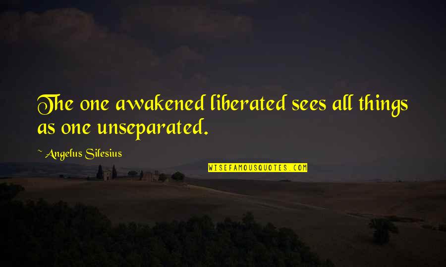 Unaffectionate Husband Quotes By Angelus Silesius: The one awakened liberated sees all things as