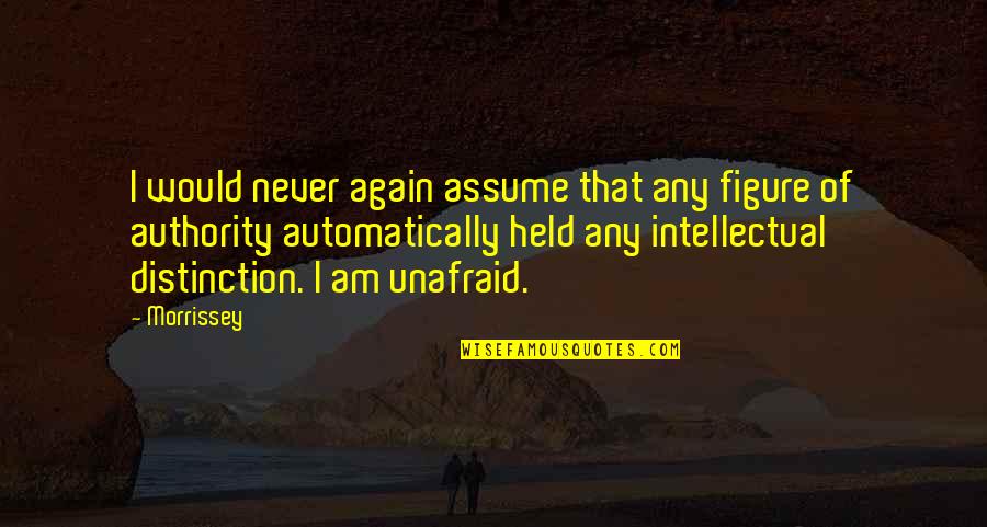 Unafraid Quotes By Morrissey: I would never again assume that any figure