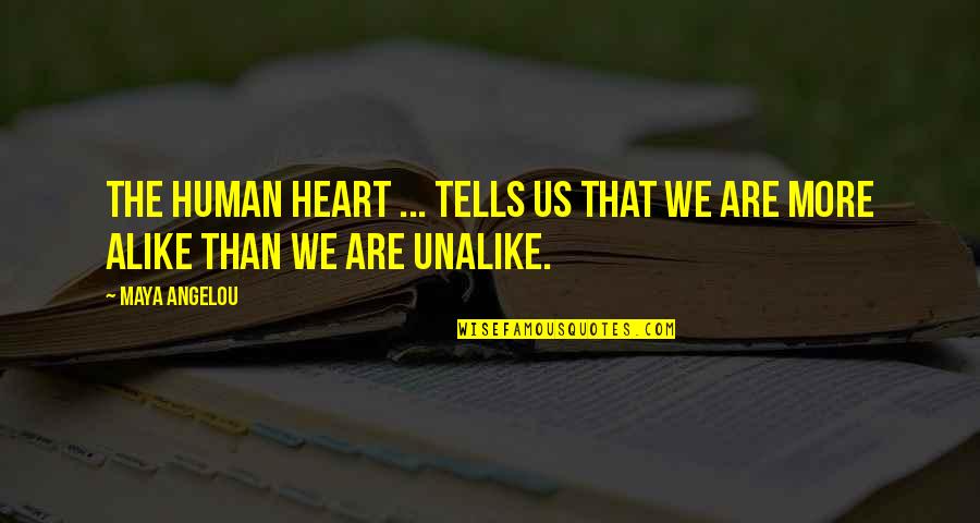 Unalike Quotes By Maya Angelou: The human heart ... tells us that we