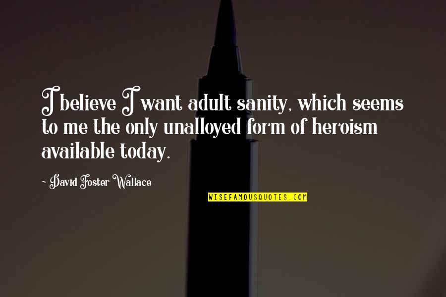 Unalloyed Quotes By David Foster Wallace: I believe I want adult sanity, which seems