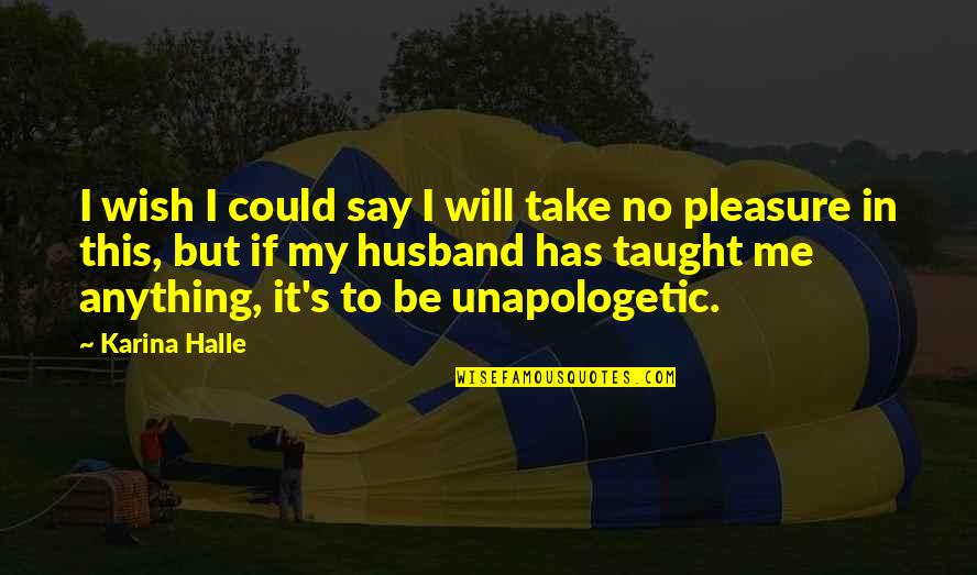 Unapologetic Quotes By Karina Halle: I wish I could say I will take