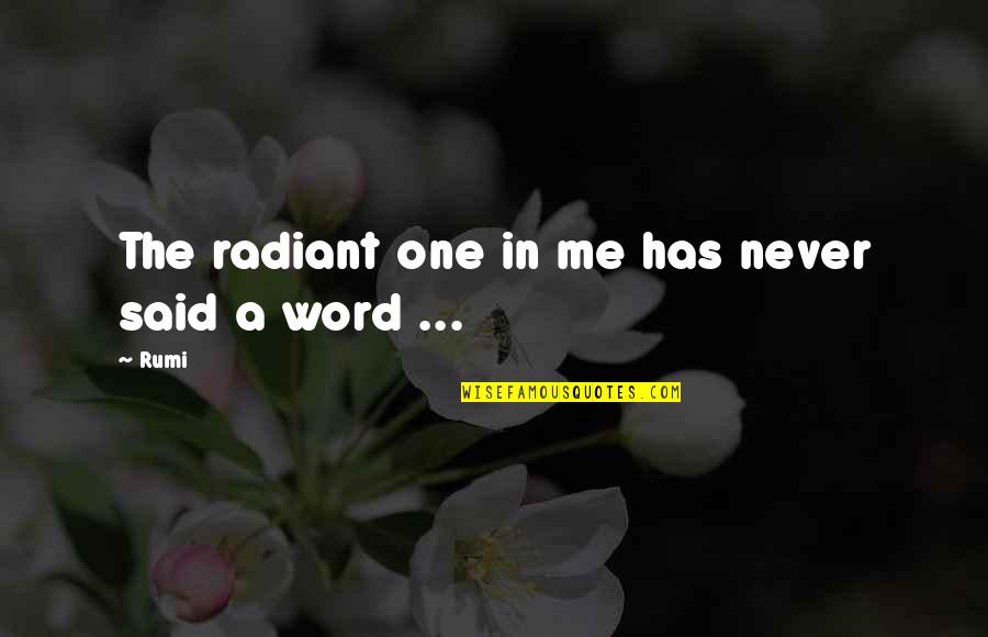 Unapplausive Quotes By Rumi: The radiant one in me has never said