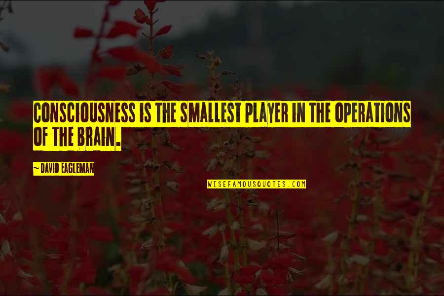Unarmorial Quotes By David Eagleman: Consciousness is the smallest player in the operations