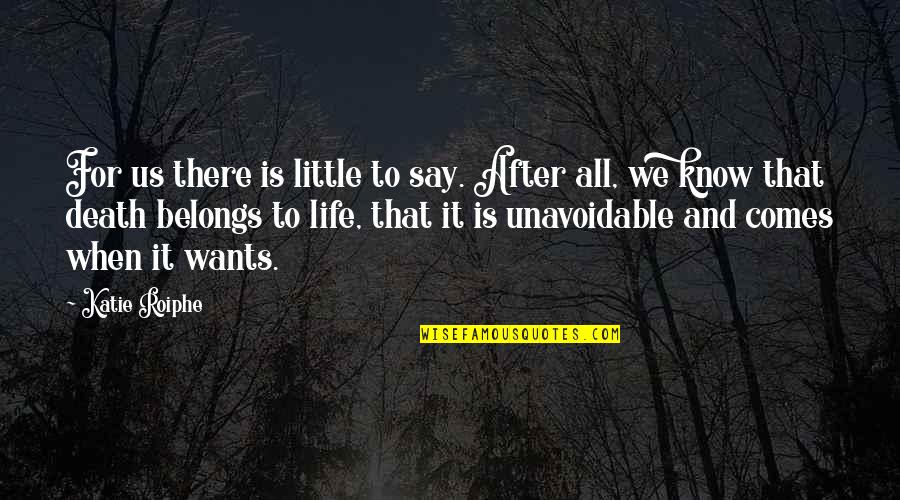 Unavoidable Quotes By Katie Roiphe: For us there is little to say. After