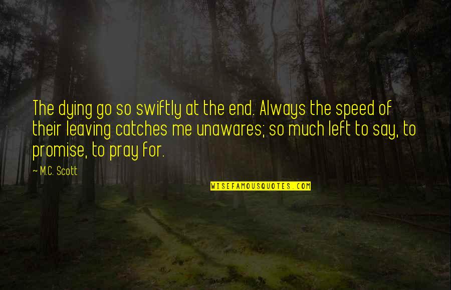 Unawares Quotes By M.C. Scott: The dying go so swiftly at the end.
