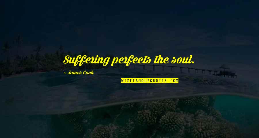 Unbearably Cute Quotes By James Cook: Suffering perfects the soul.