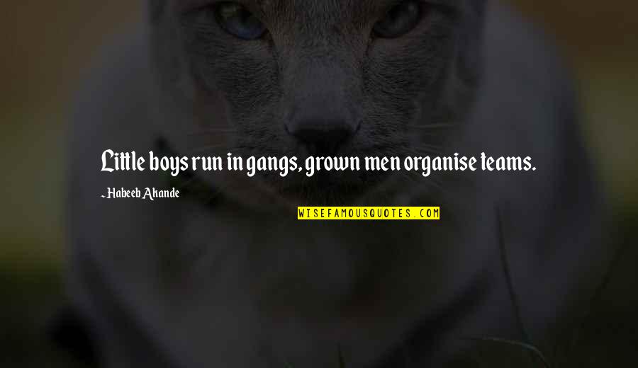 Unbelievably Great Quotes By Habeeb Akande: Little boys run in gangs, grown men organise