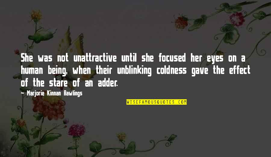 Unblinking Quotes By Marjorie Kinnan Rawlings: She was not unattractive until she focused her