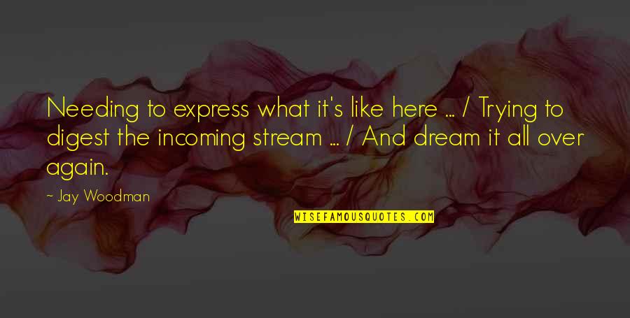 Unbookish Quotes By Jay Woodman: Needing to express what it's like here ...