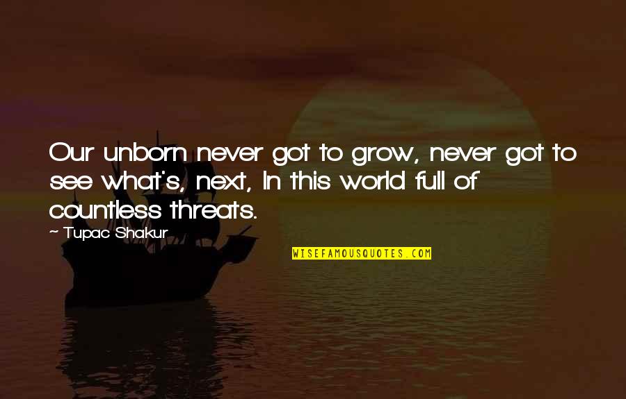 Unborn's Quotes By Tupac Shakur: Our unborn never got to grow, never got