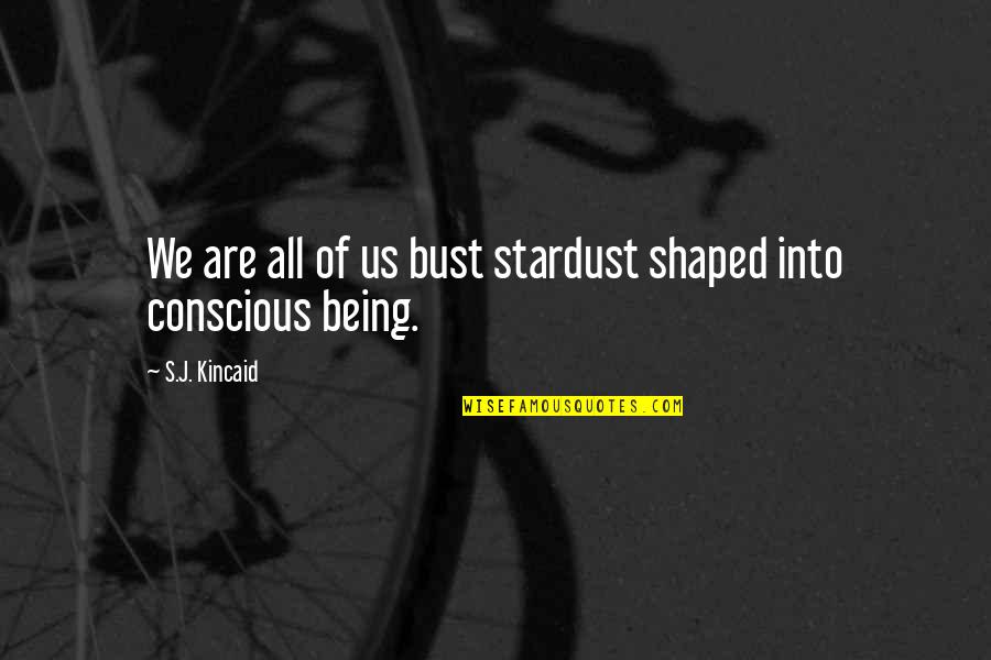 Unbrella's Quotes By S.J. Kincaid: We are all of us bust stardust shaped