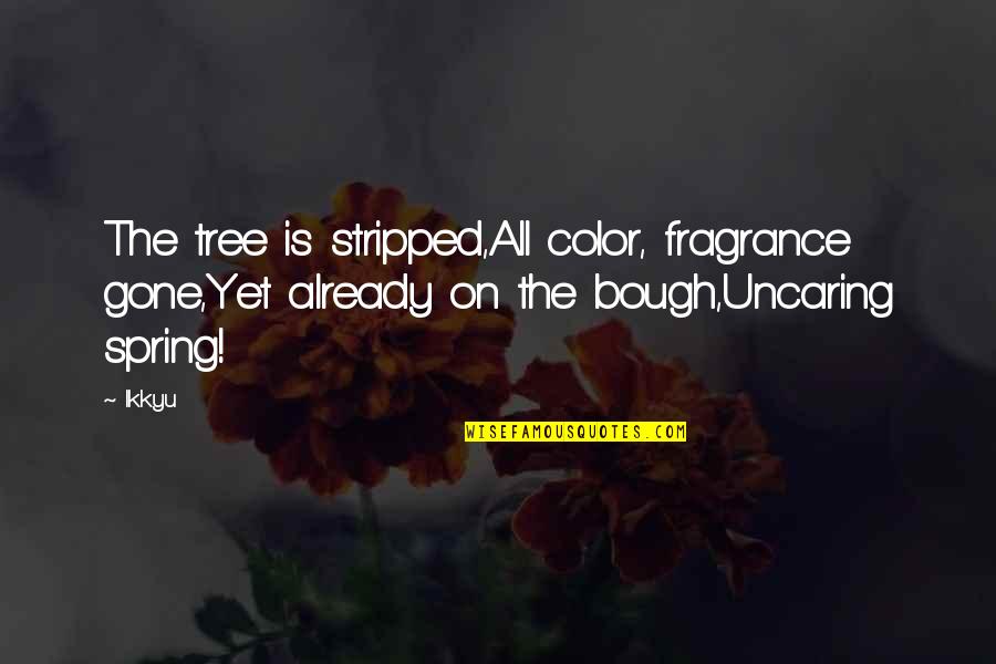 Uncaring Quotes By Ikkyu: The tree is stripped,All color, fragrance gone,Yet already