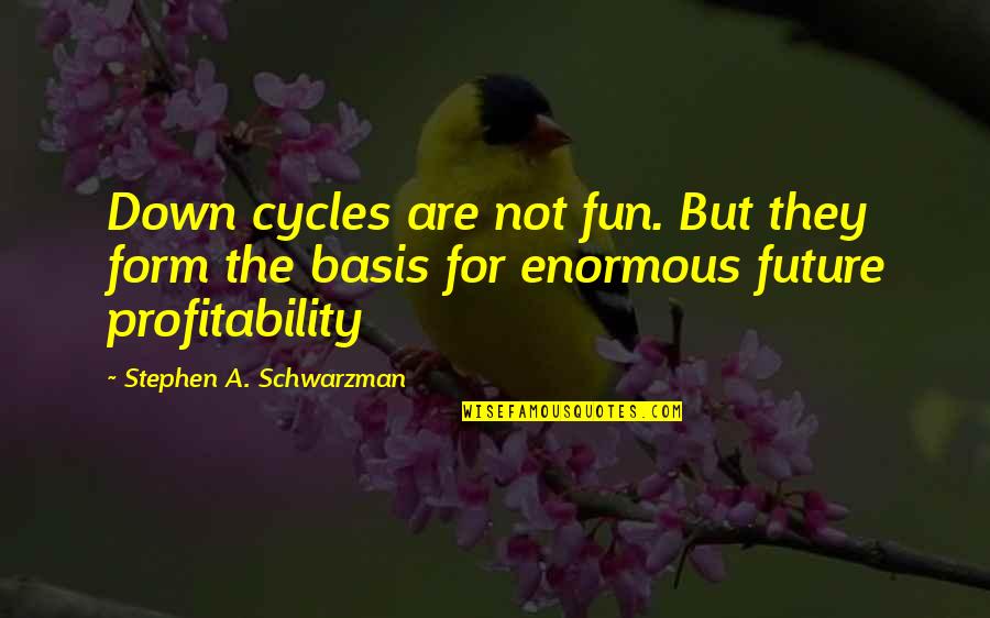 Uncertainty About The Future Quotes By Stephen A. Schwarzman: Down cycles are not fun. But they form