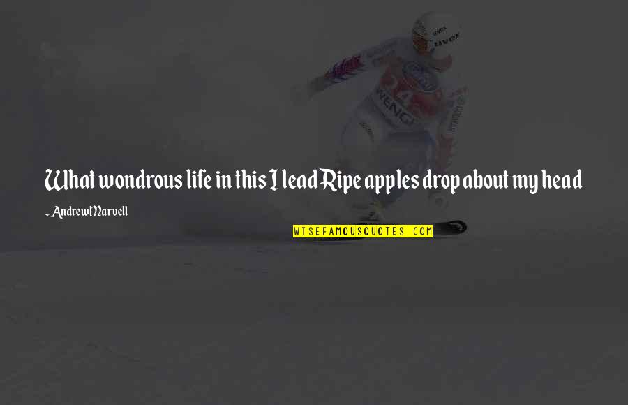 Uncharted Funny Quotes By Andrew Marvell: What wondrous life in this I leadRipe apples Uncharted Funny Quotes By Andrew Marvell: What wondrous life in this I leadRipe apples