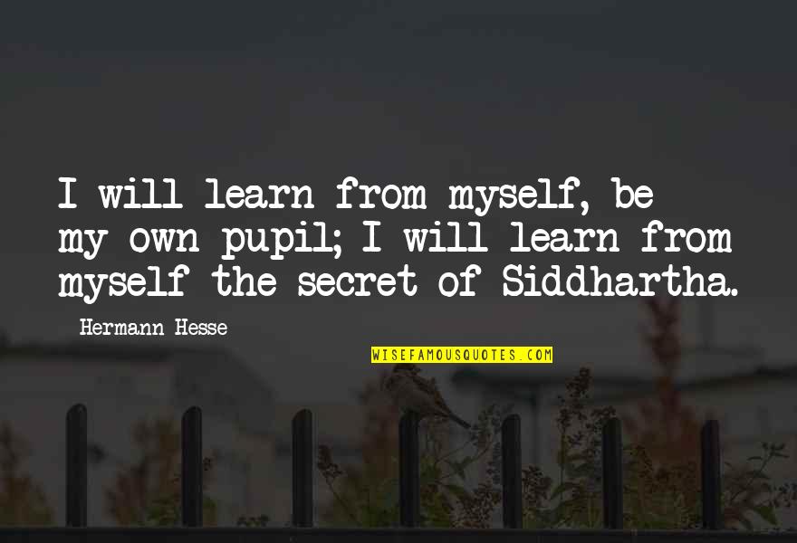 Unclad Beach Quotes By Hermann Hesse: I will learn from myself, be my own Unclad Beach Quotes By Hermann Hesse: I will learn from myself, be my own